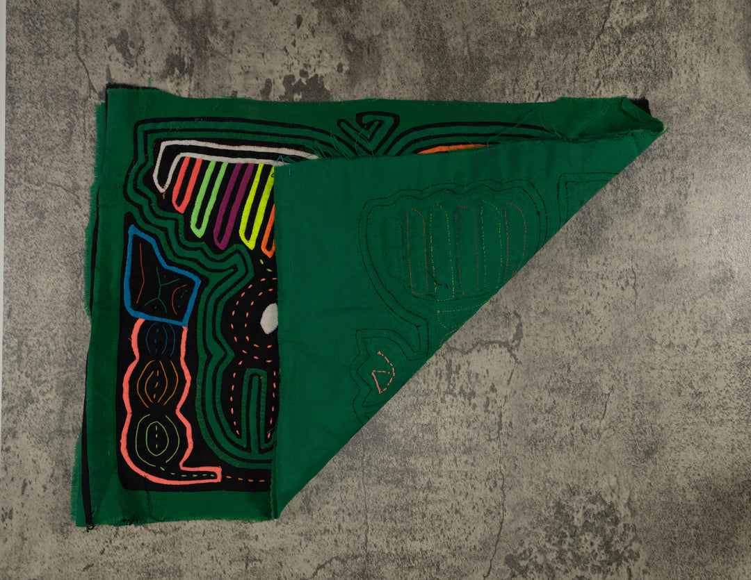 Classic Green Seagull Eyeing A Meal Mola