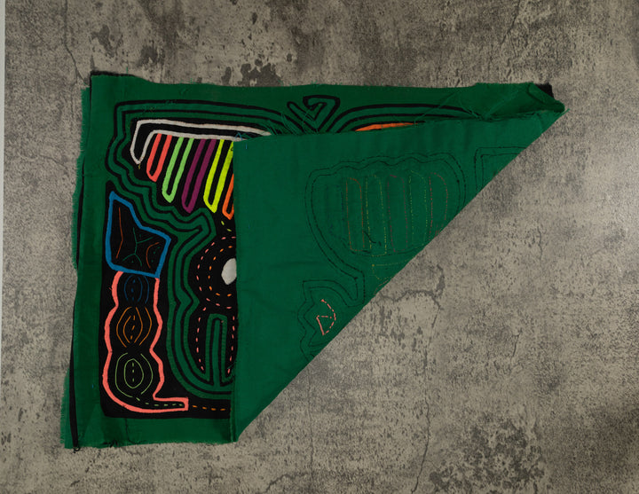 Classic Green Seagull Eyeing A Meal Mola