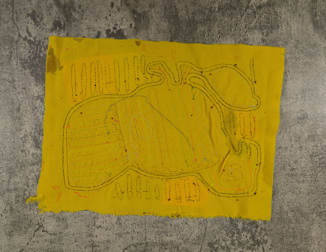 Rainbow Colors Partridge Jungle Bird Mola