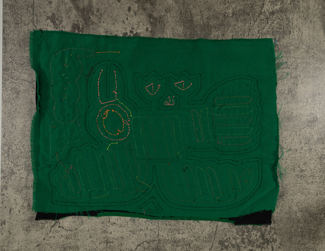 Classic Green Seagull Eyeing A Meal Mola