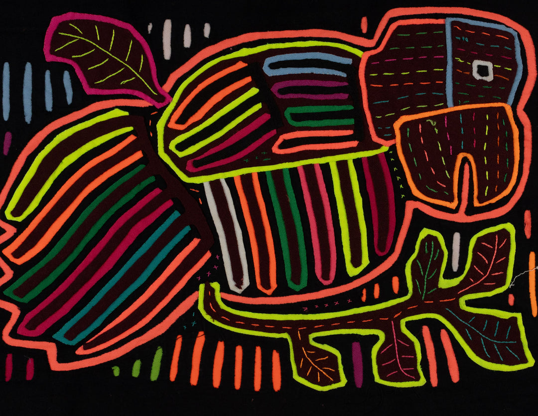 Rainbow Colors Fancy Parrot Bird Mola