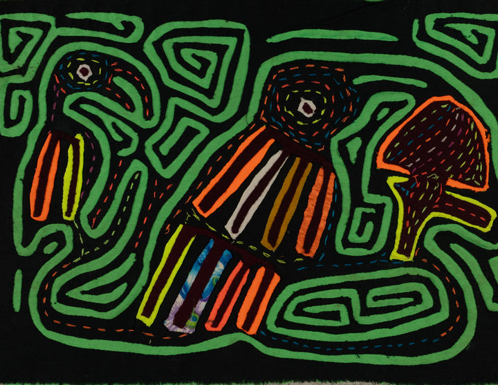 Black And Green Back Biter Jungle Bird Mola