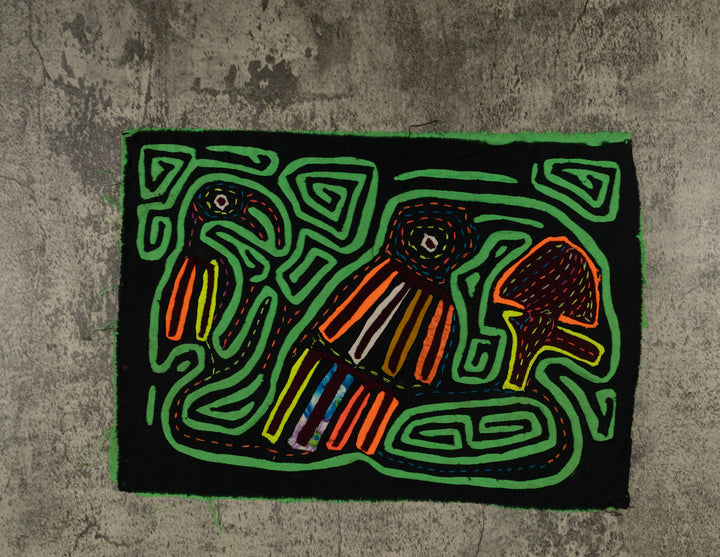 Black And Green Back Biter Jungle Bird Mola