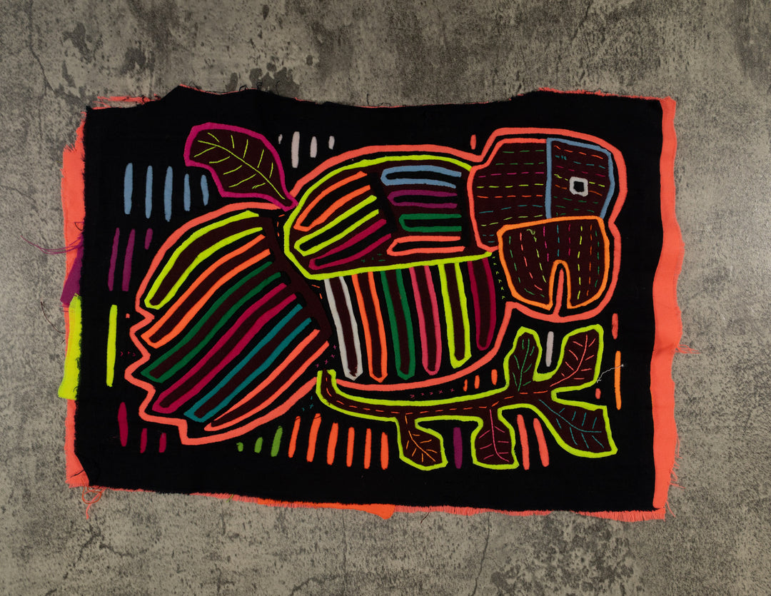 Rainbow Colors Fancy Parrot Bird Mola