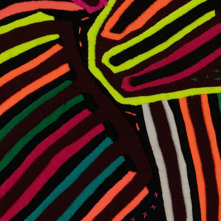 Rainbow Colors Fancy Parrot Bird Mola