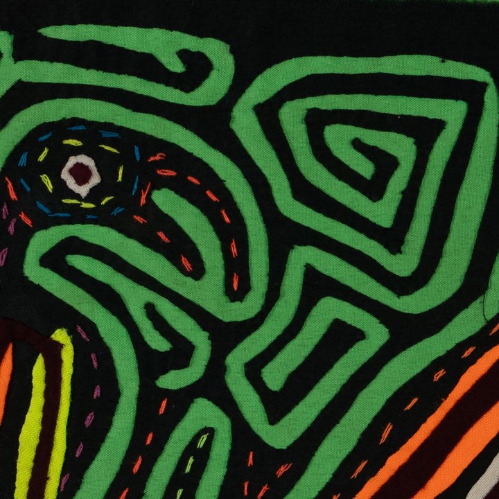 Black And Green Back Biter Jungle Bird Mola