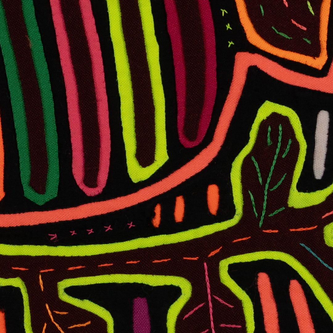 Rainbow Colors Fancy Parrot Bird Mola