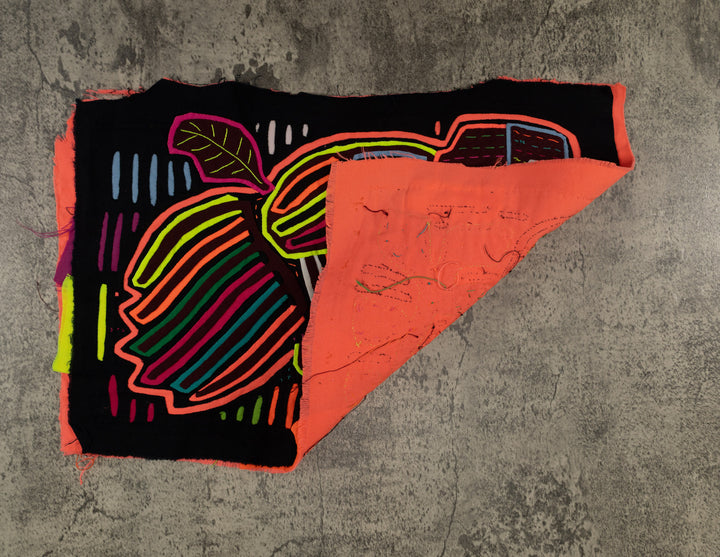 Rainbow Colors Fancy Parrot Bird Mola