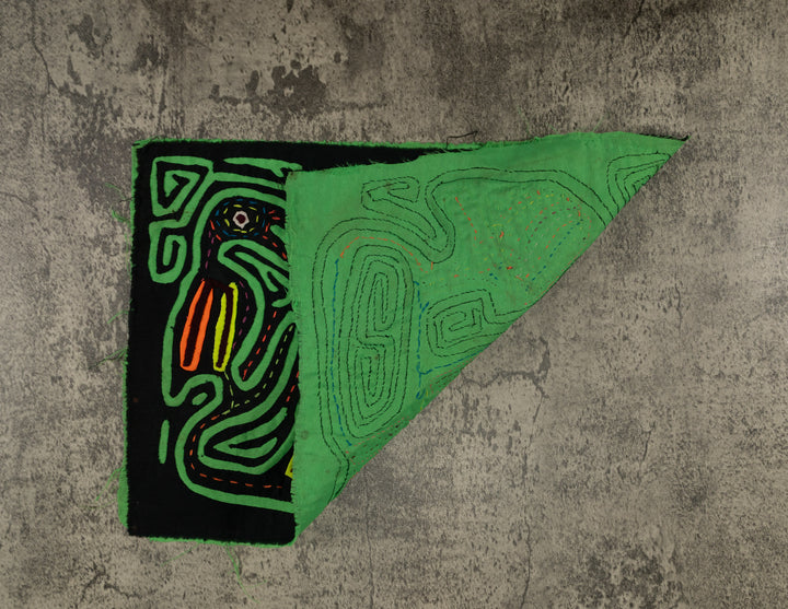 Black And Green Back Biter Jungle Bird Mola