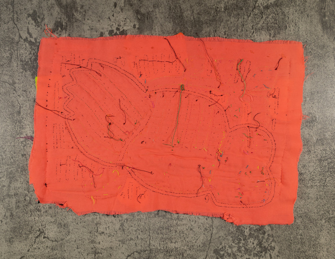 Rainbow Colors Fancy Parrot Bird Mola