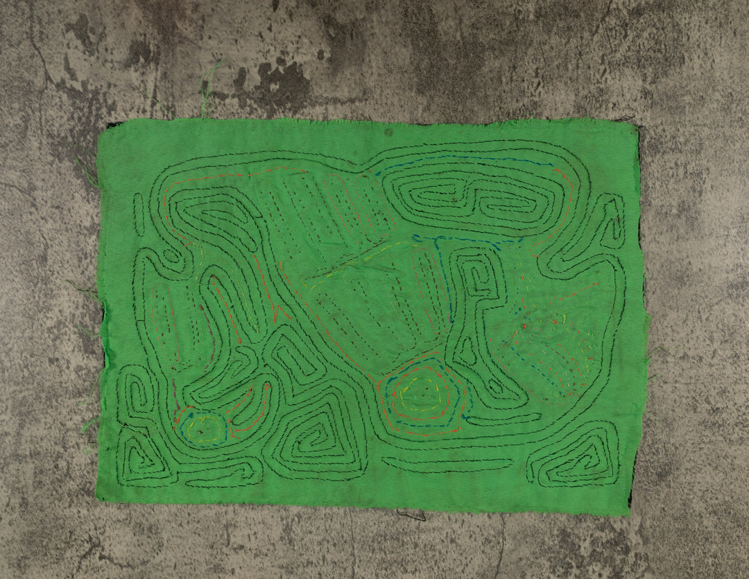 Black And Green Back Biter Jungle Bird Mola