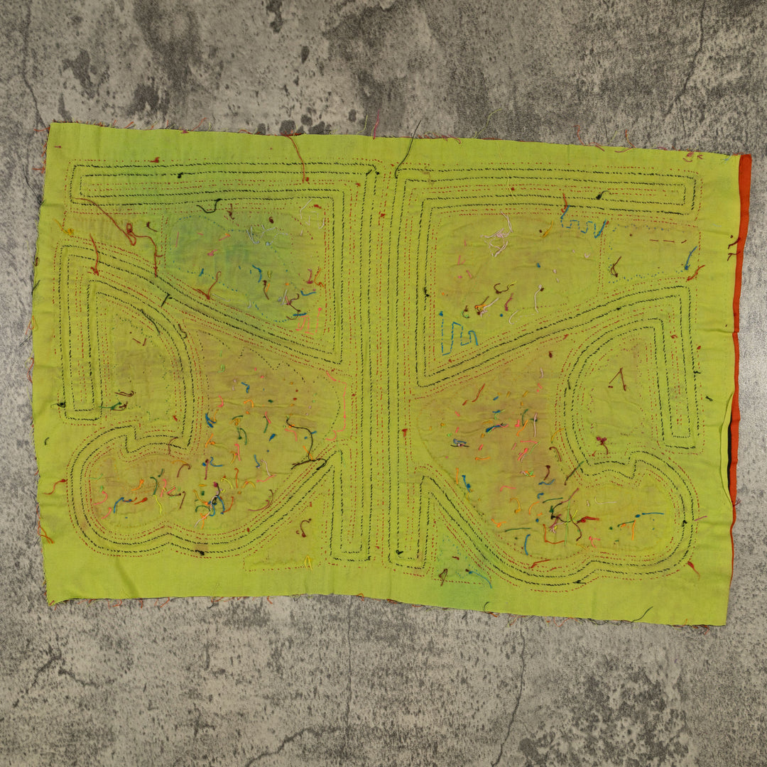 Traditional Orange And Chartruse Parrot Bird Mola