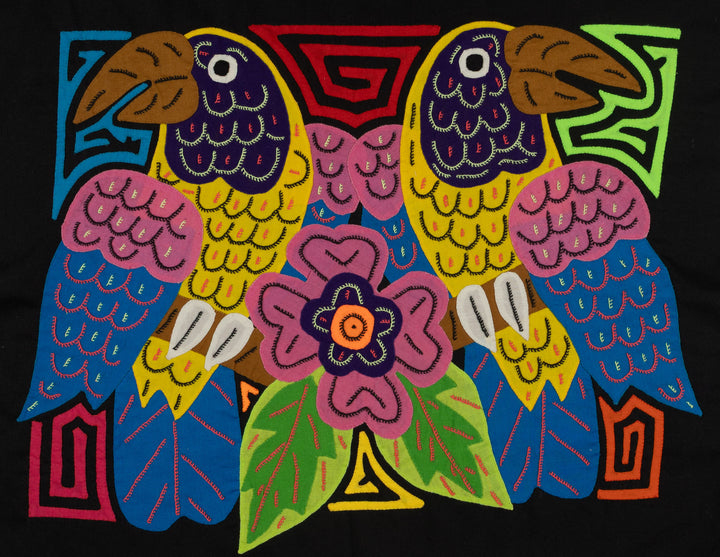 Fantasy Pink Yellow And Blue Two Toucan Oarrot Bird Mola