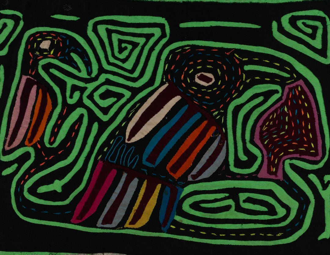 Black And Green Back Biter Jungle Bird Mola