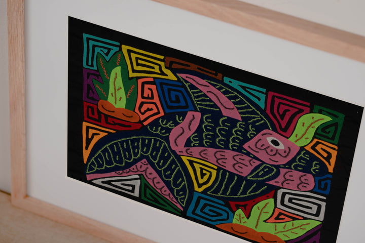 Bottlenose Dolphin with Coral Plants Mola