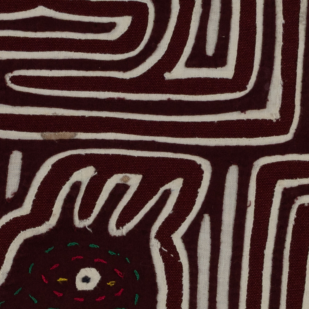 Burgundy And White Bird Head Mola