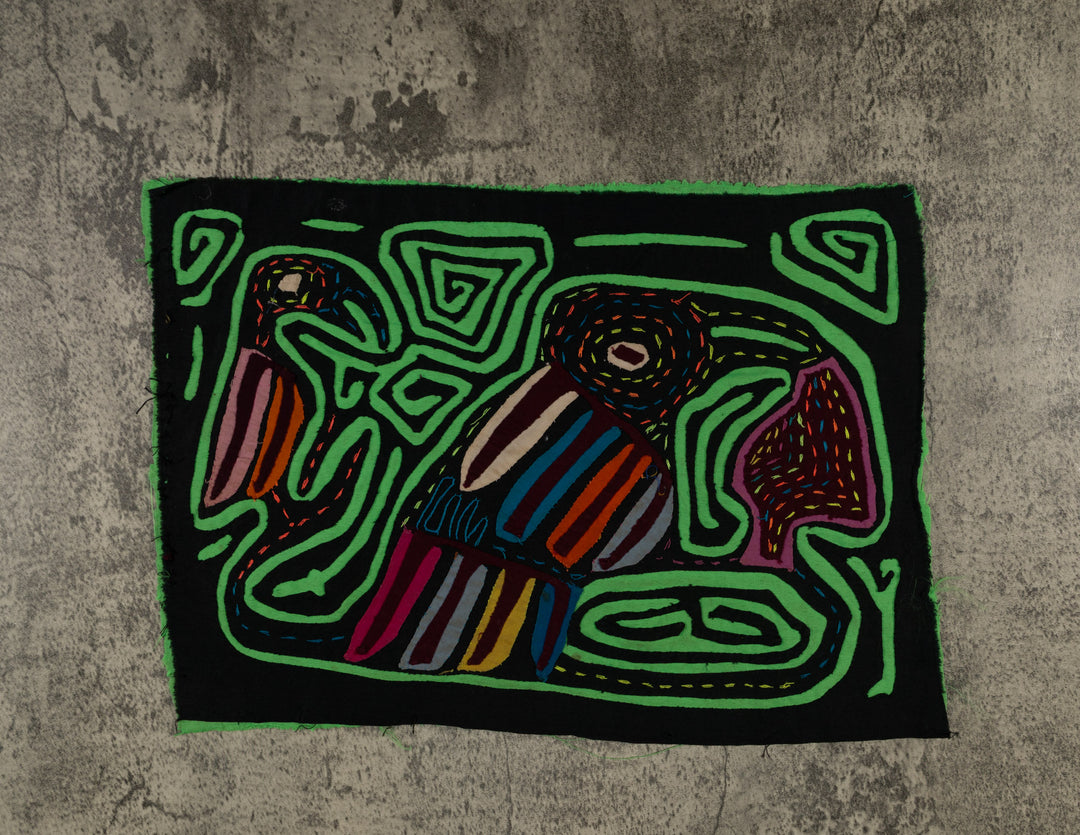 Black And Green Back Biter Jungle Bird Mola