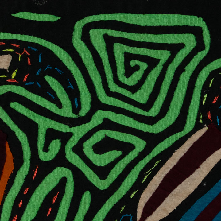 Black And Green Back Biter Jungle Bird Mola