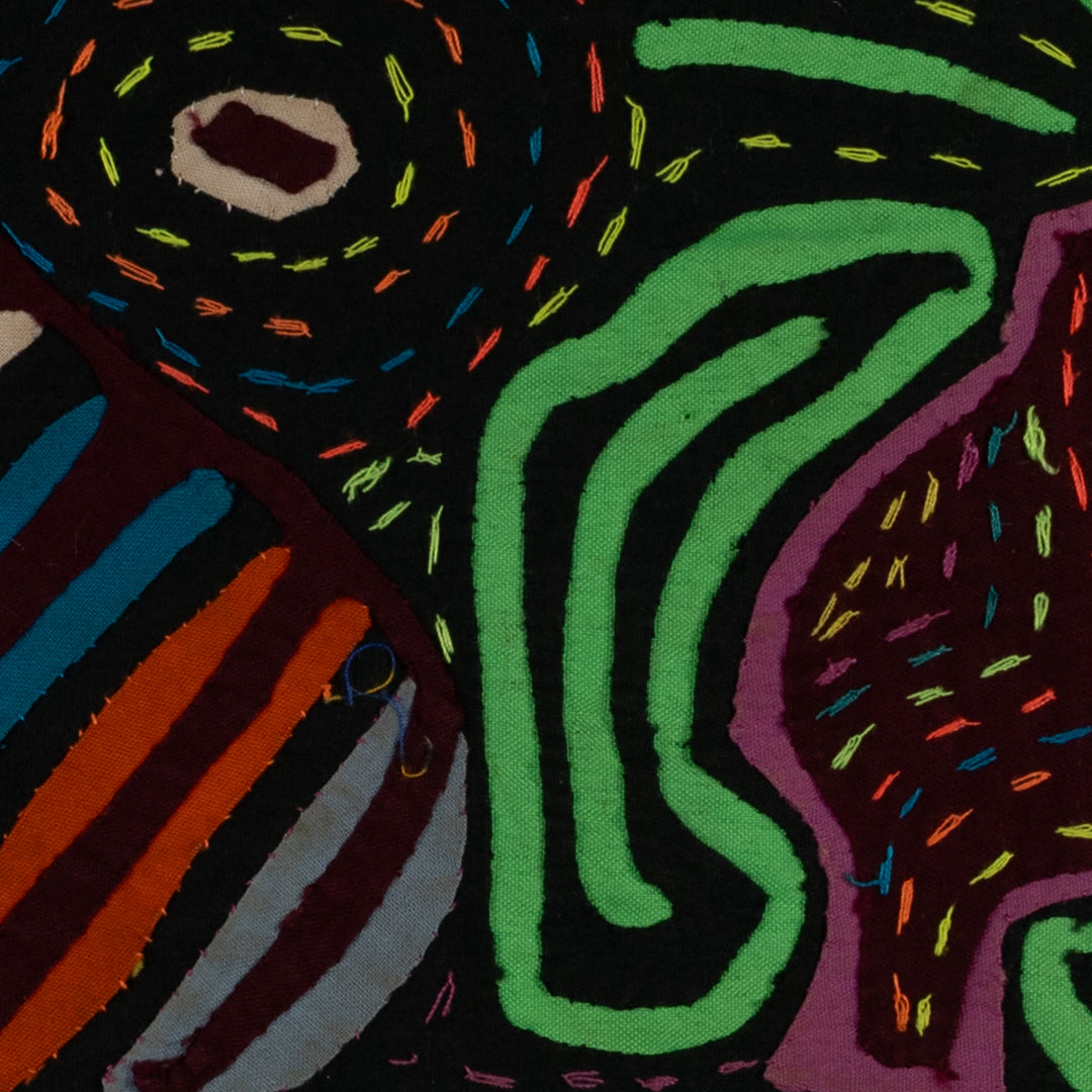 Black And Green Back Biter Jungle Bird Mola