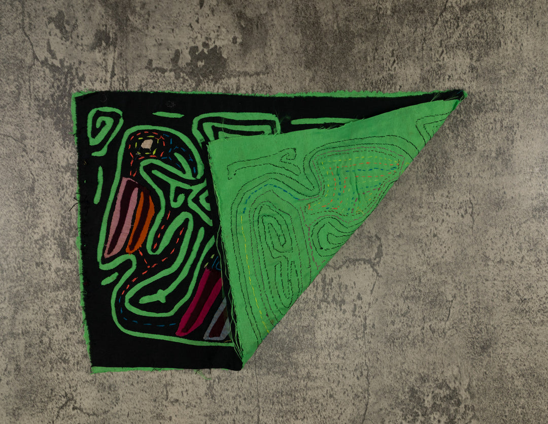 Black And Green Back Biter Jungle Bird Mola