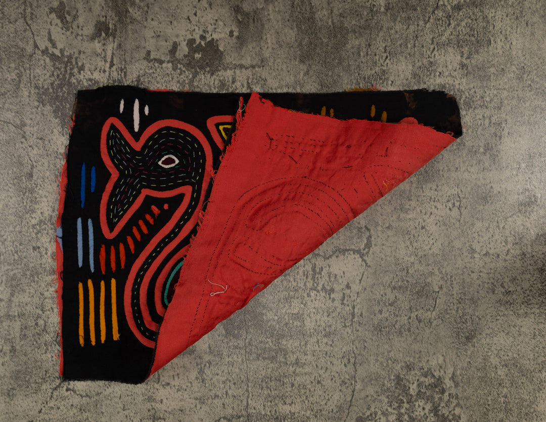 Classic Black And Orange Song Bird Mola