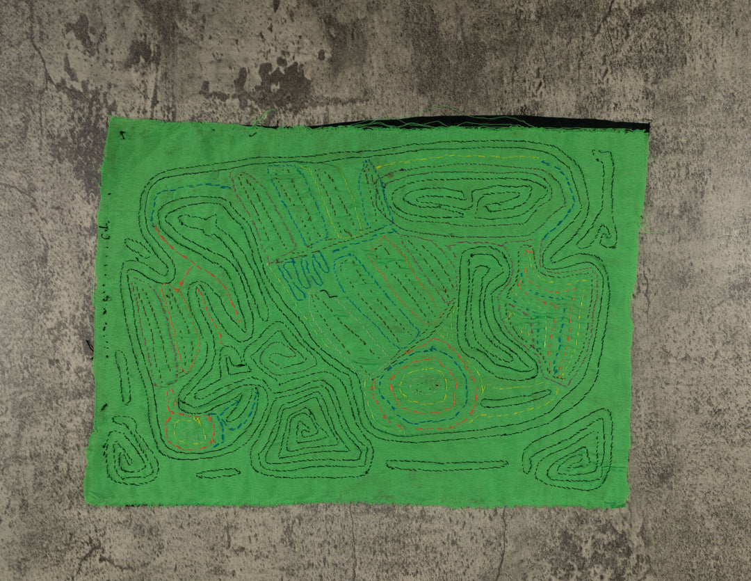 Black And Green Back Biter Jungle Bird Mola