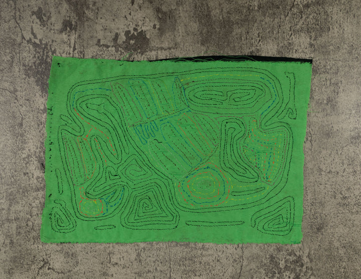 Black And Green Back Biter Jungle Bird Mola