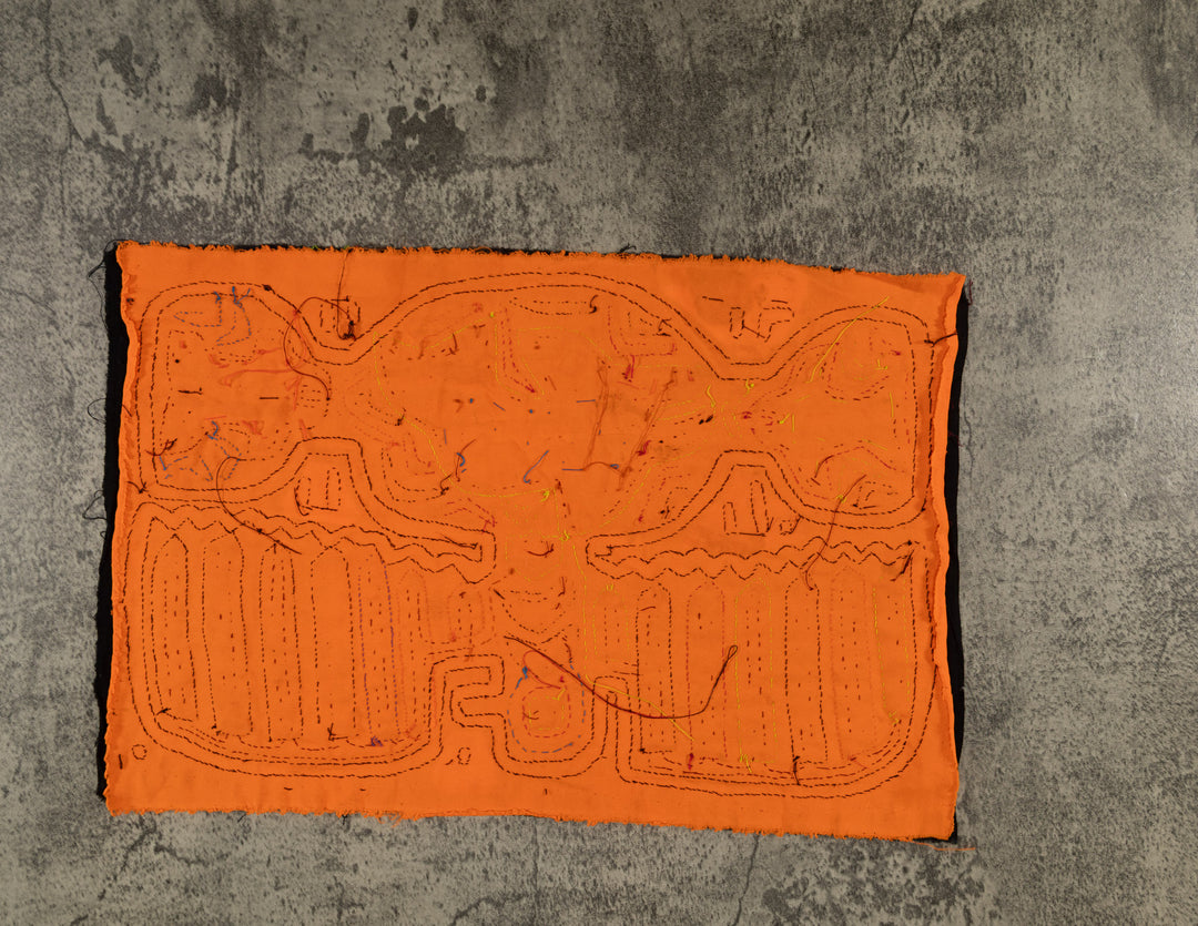 Neon Orange Broad Wing Kinkfisher Bird Mola