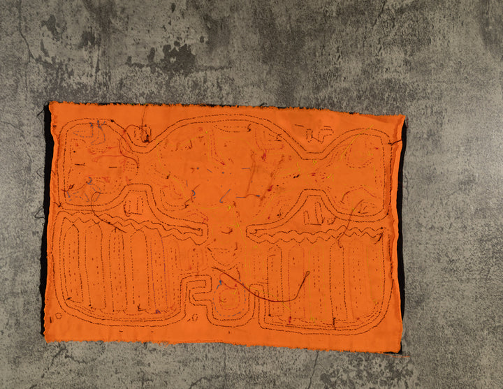 Neon Orange Broad Wing Kinkfisher Bird Mola