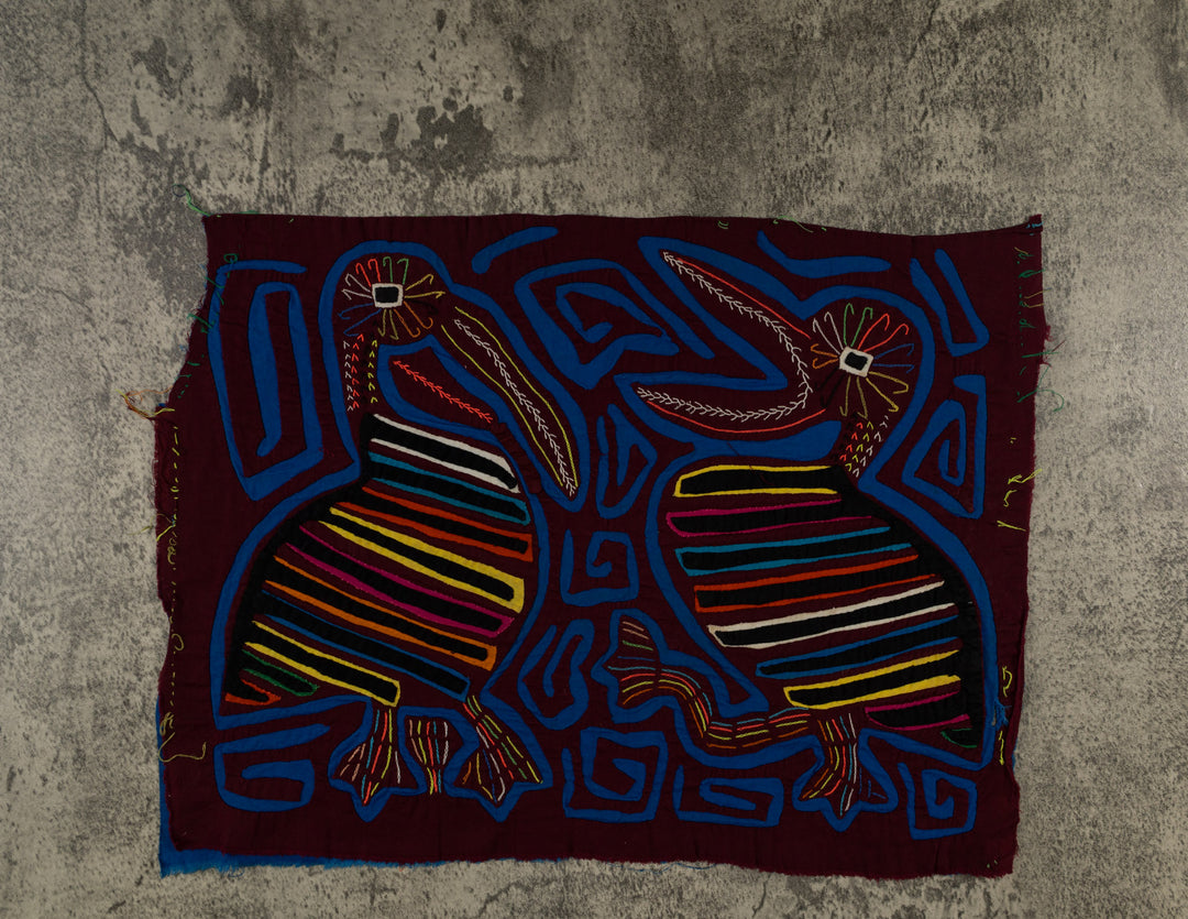 Maroon And Blue Squawking Bird Mola