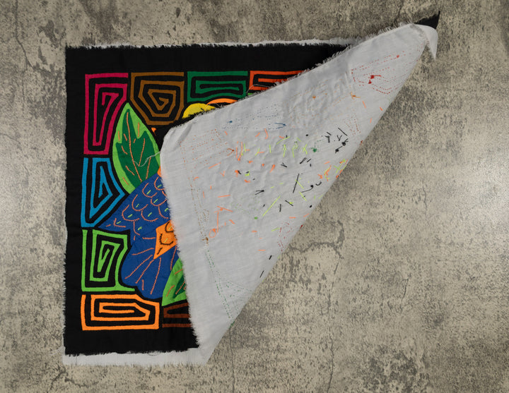 Fantasy Orange And Blue Two Parrot Bird Mola