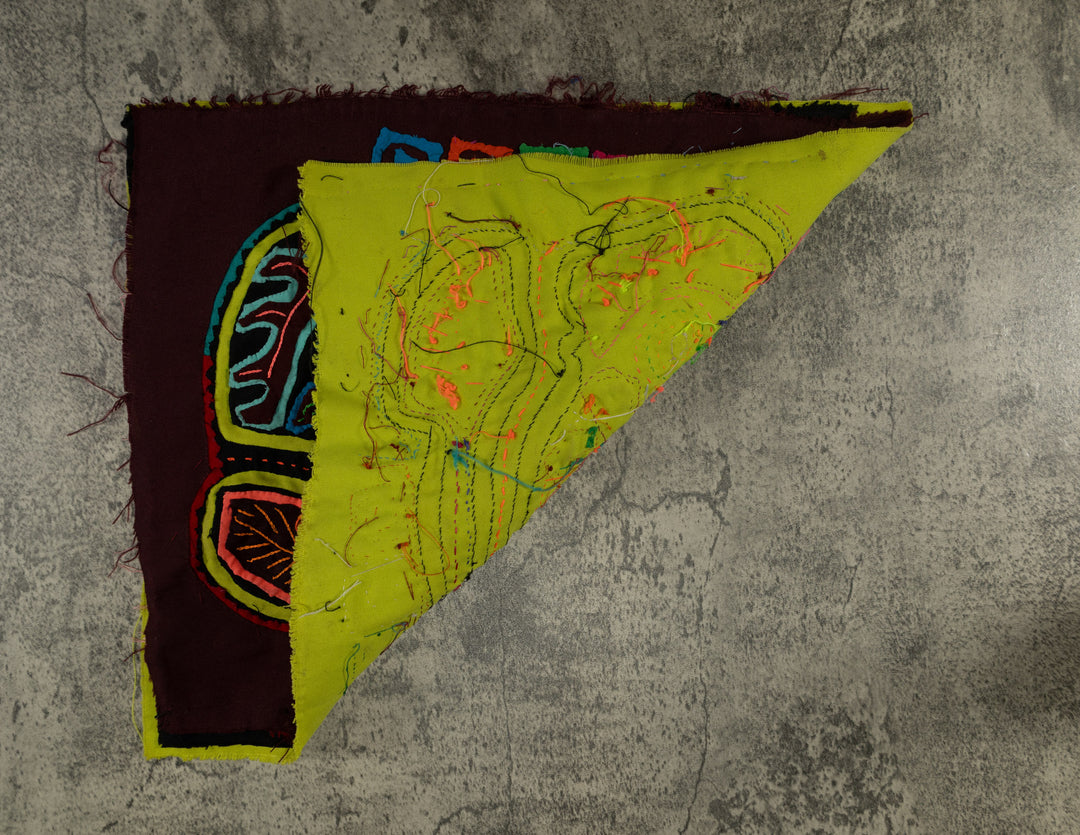 Rainbow Colors Jungle Parrot Bird Mola