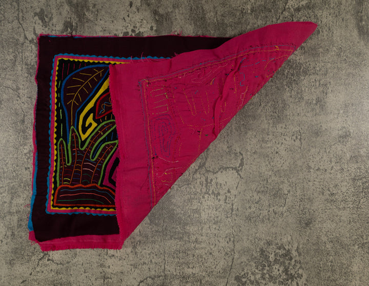 Rainbow Colors Pigeon Bird Of The Jungle Mola