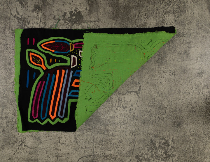 Classic Black And Green Rainforest Bird Mola