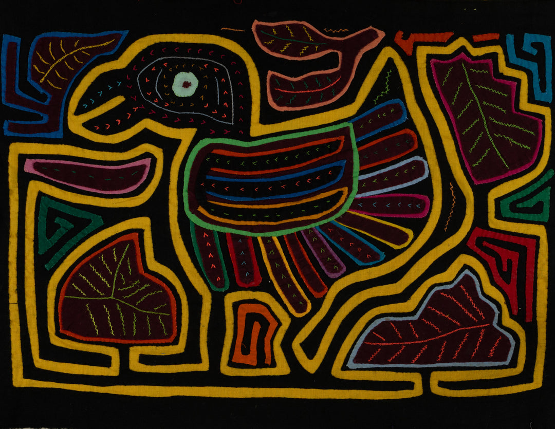 Classic Black And Yellow Rainforest Bird Mola