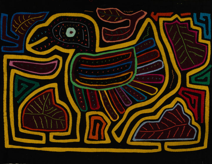 Classic Black And Yellow Rainforest Bird Mola