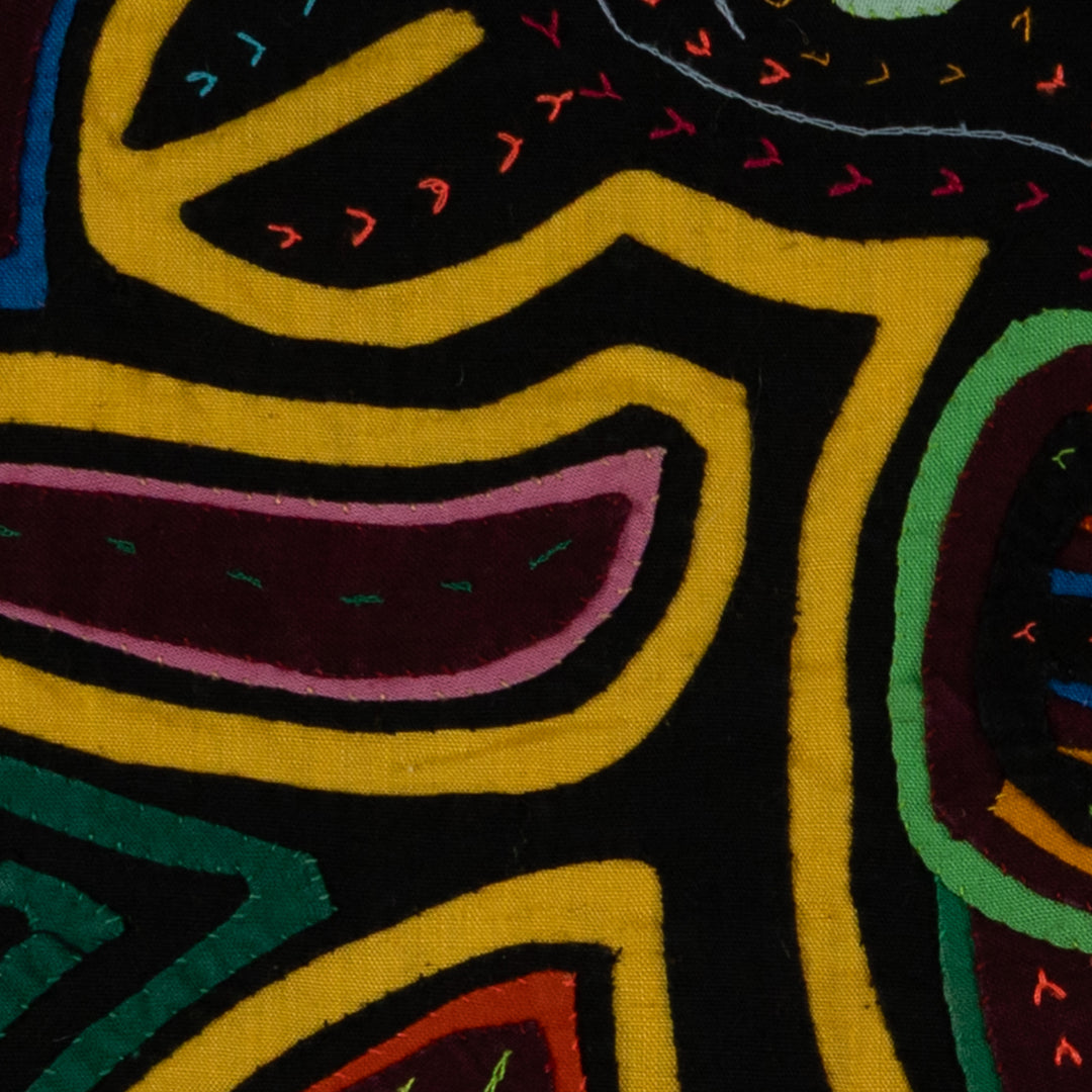 Classic Black And Yellow Rainforest Bird Mola