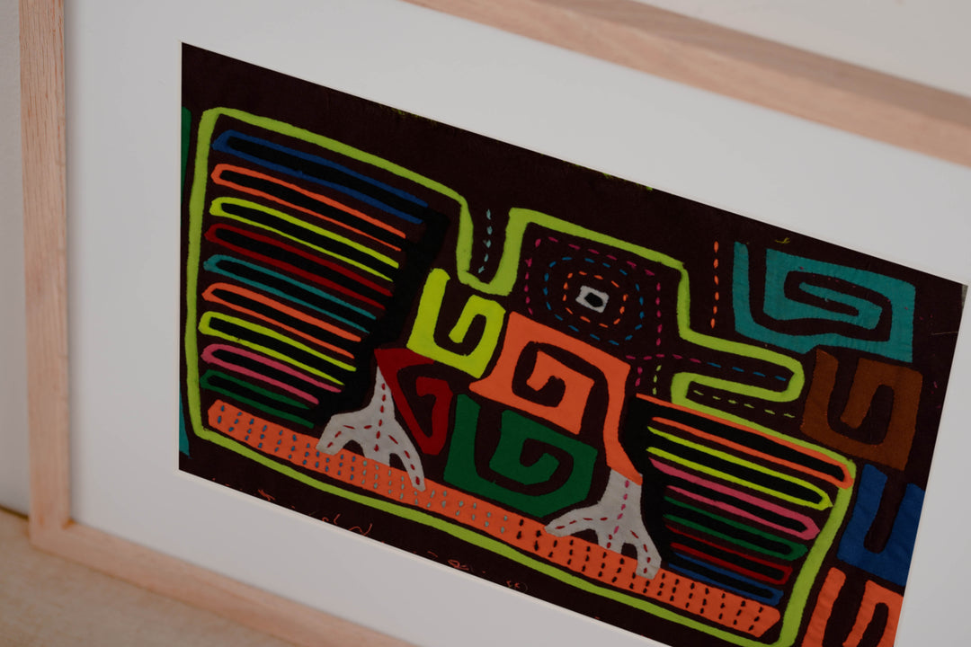 Classic Rainbow Colors Fancy Rainforest Bird Mola