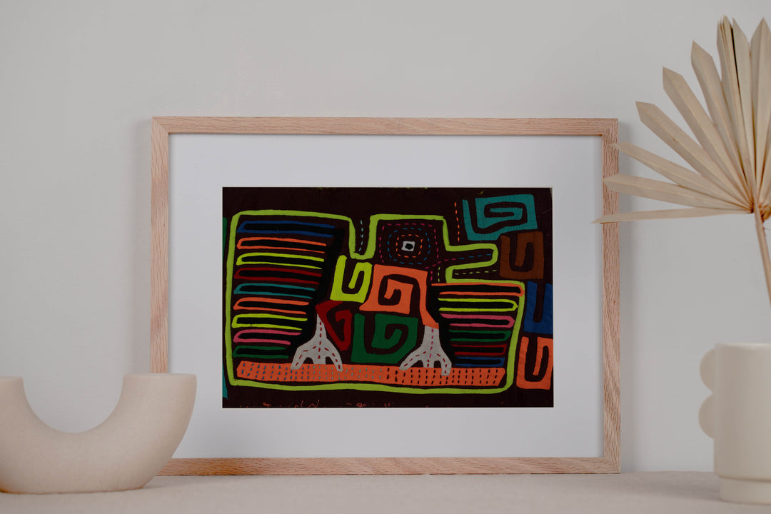 Classic Rainbow Colors Fancy Rainforest Bird Mola