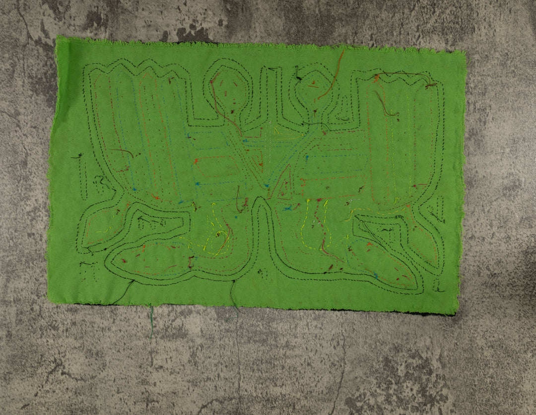 Classic Black And Green Rainforest Bird Mola