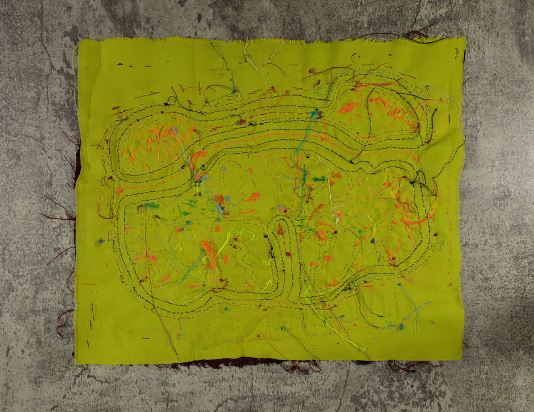 Rainbow Colors Jungle Parrot Bird Mola