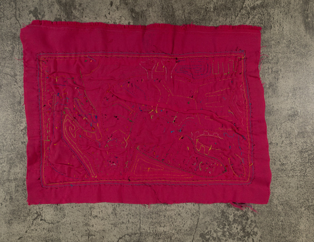 Rainbow Colors Pigeon Bird Of The Jungle Mola