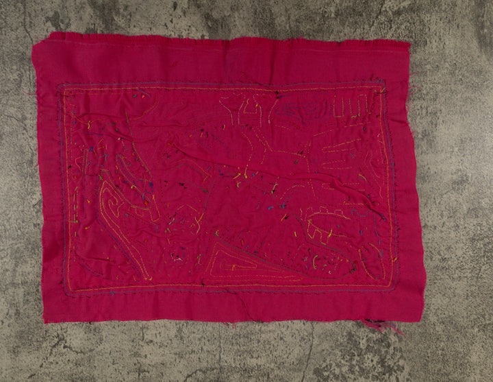 Rainbow Colors Pigeon Bird Of The Jungle Mola