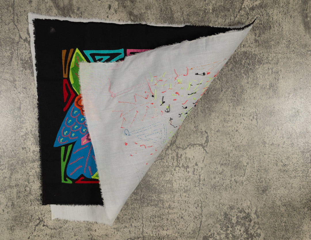 Fantasy Pink And Blue Two Parrot Bird Mola