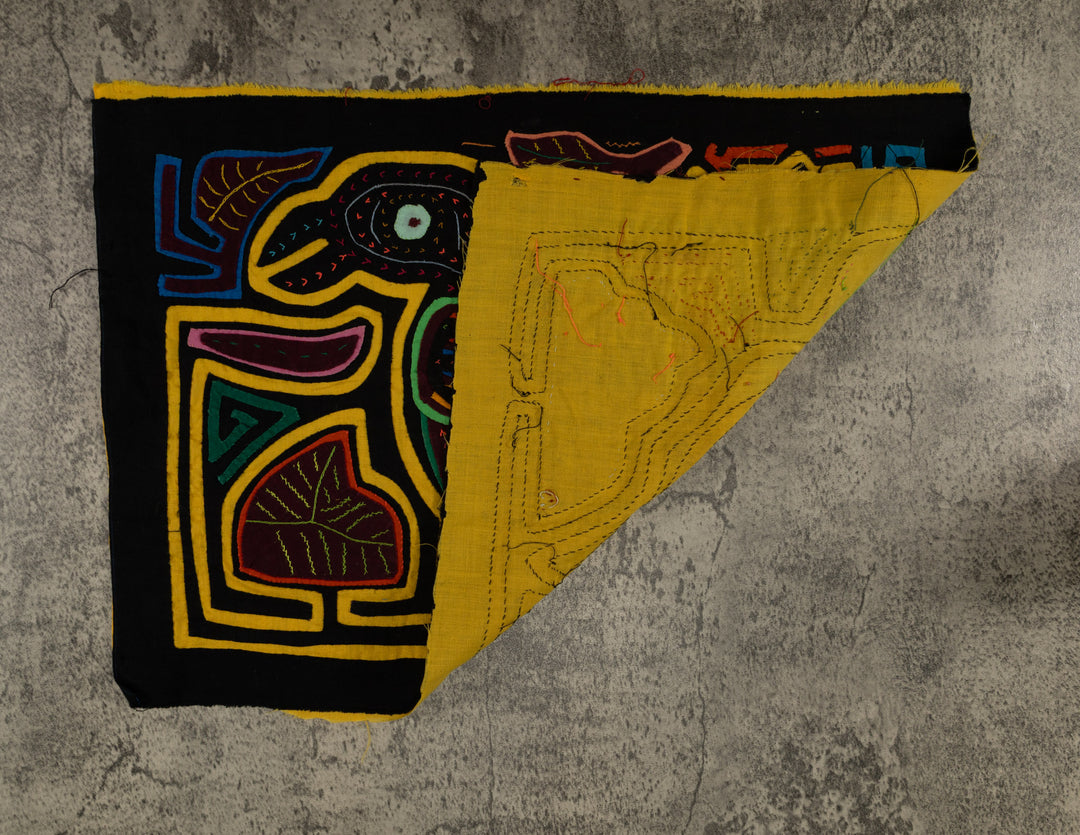 Classic Black And Yellow Rainforest Bird Mola