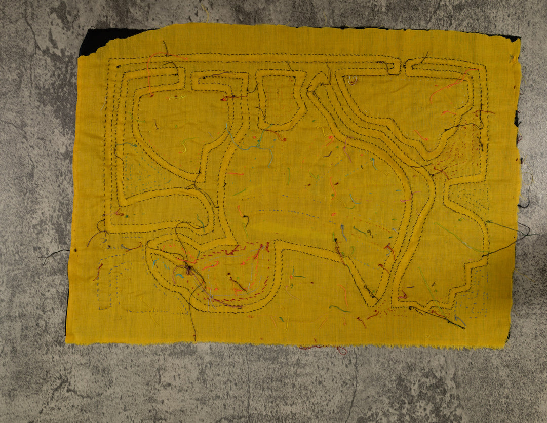 Classic Black And Yellow Rainforest Bird Mola