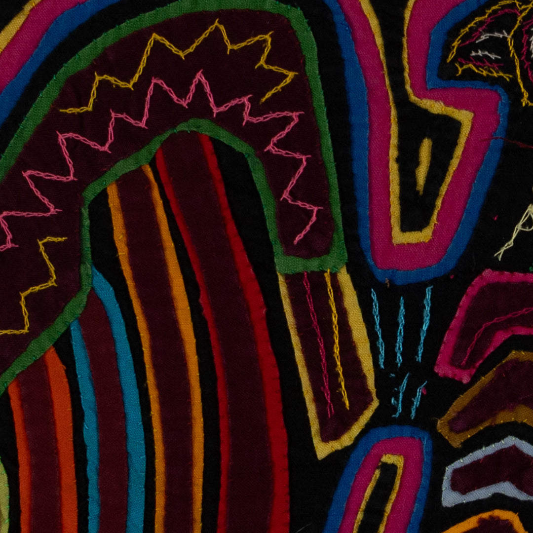 Rainbow Colors Anden Condor Bird Mola