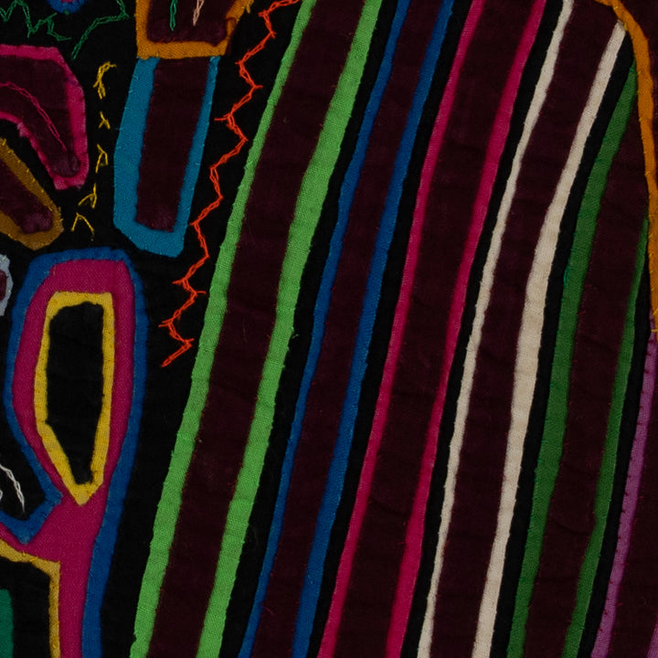 Rainbow Colors Anden Condor Bird Mola