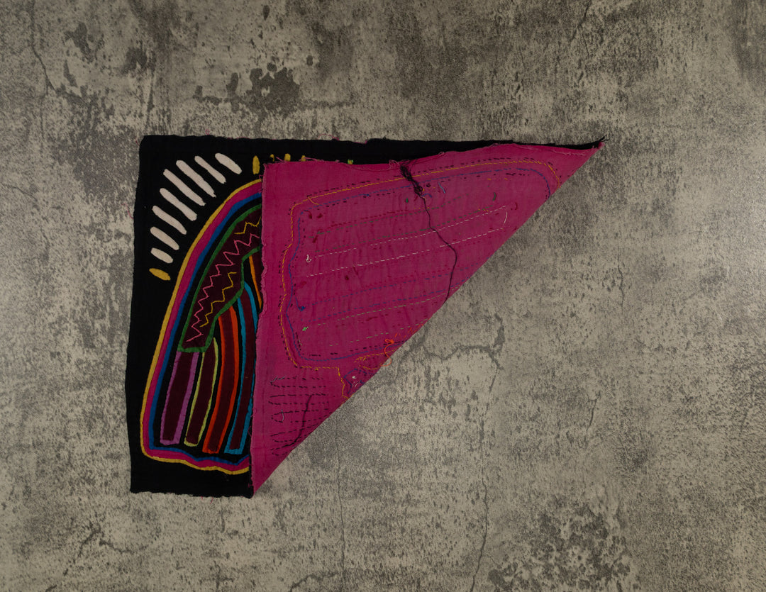 Rainbow Colors Anden Condor Bird Mola