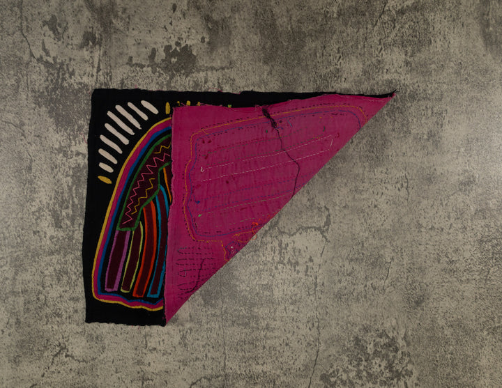 Rainbow Colors Anden Condor Bird Mola